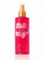 /album/spray1/sweet-daydream-s-jpg/